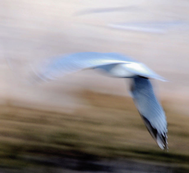 movement in blue