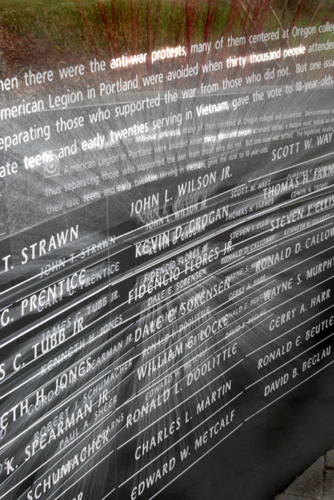 Vietnam Remembered