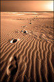 Life on Mars