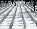 ...The Line Of Duty