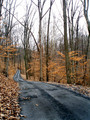 Road to Sugarloaf