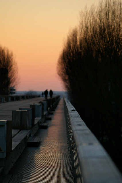 Pier