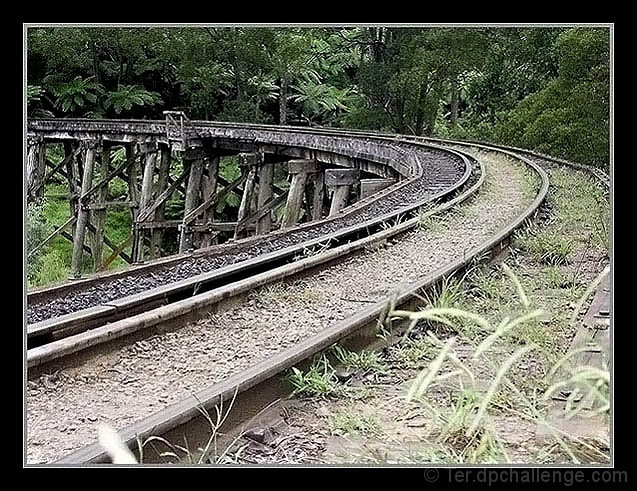 Trestle Bridge Track