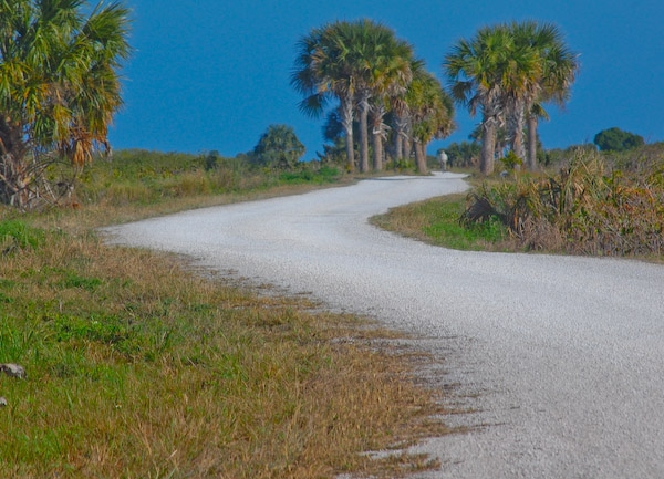 A Long Dusty Road