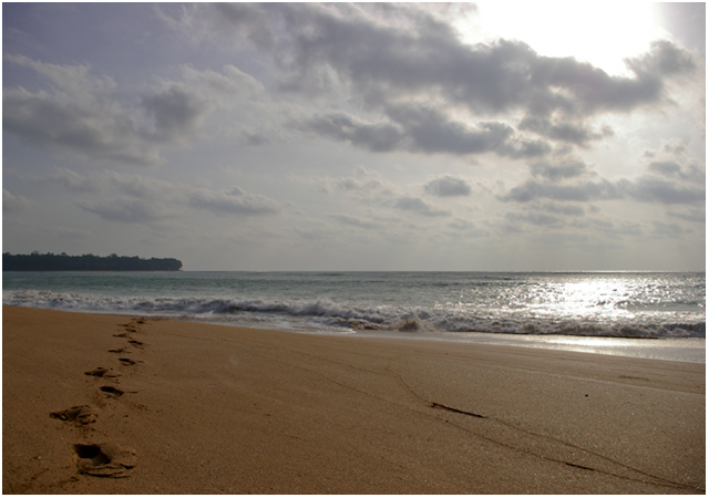 Mermaid's footprints