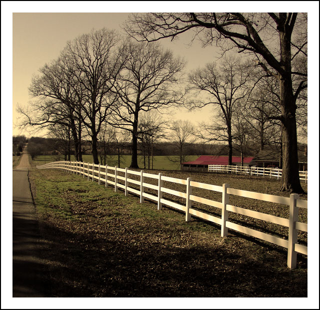 Country Corral