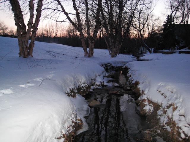 Peaceful Creek