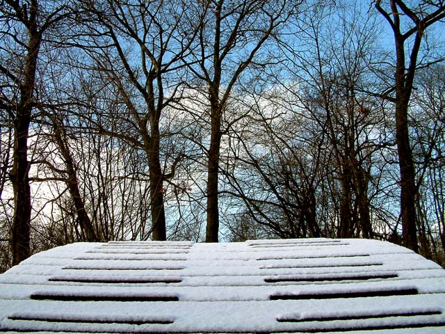 symmetric snowbridge to treez