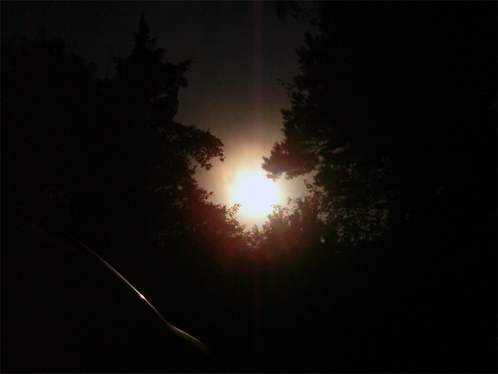 "I'm being followed by a Moonshadow" [Night Shot]