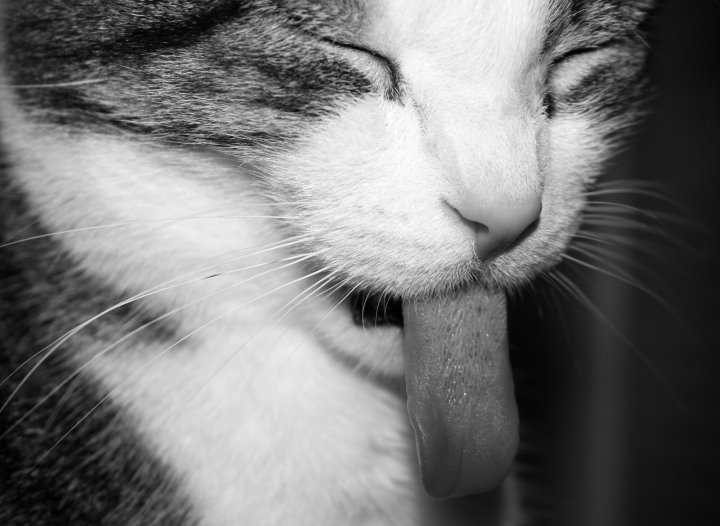 Don't you stick that tongue out at me!