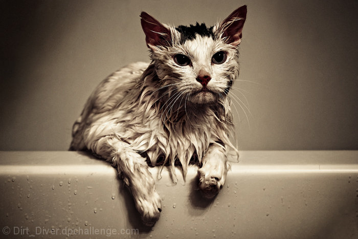 Please Let me outta here! :(