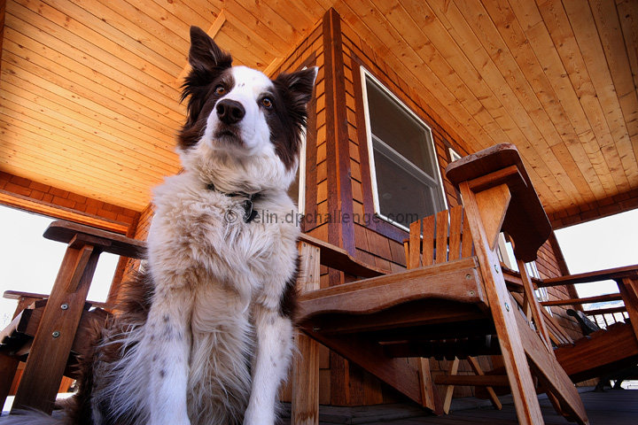 jake on his porch