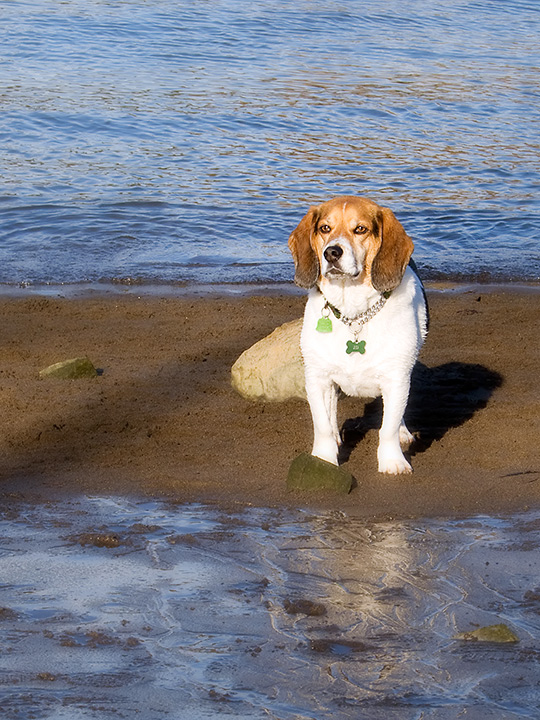Where's my stick?