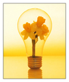 light my world