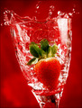 Strawberry Splash