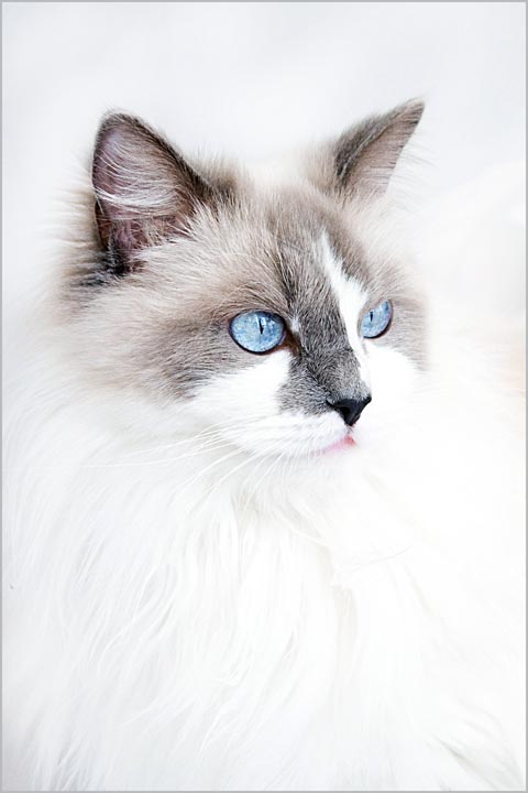 Blue-Eyed Girl