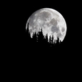 Moonrise
