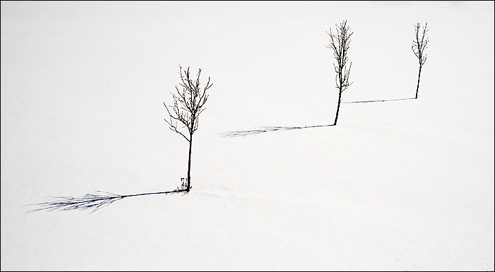 Simplicity