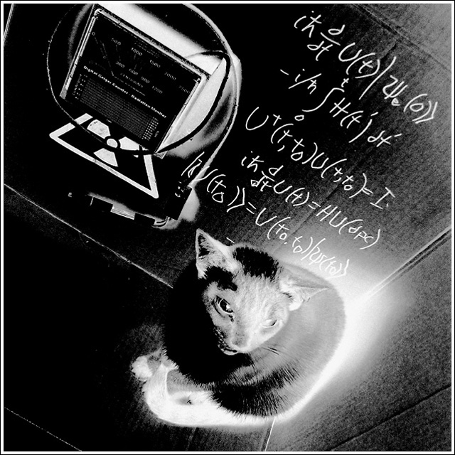 Schr&ouml;dinger's Cat