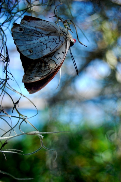 Hanging Around