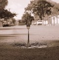 A Fork in the Road