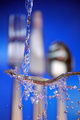 Rinse Cycle