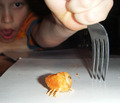 The Tater Tot That Got Away