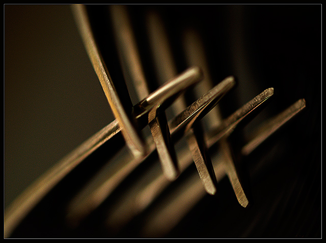 intersect