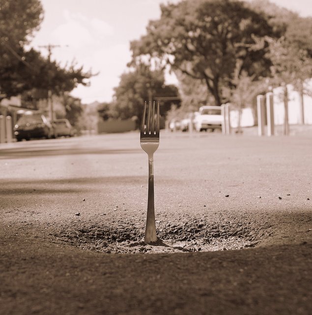 A Fork in the Road