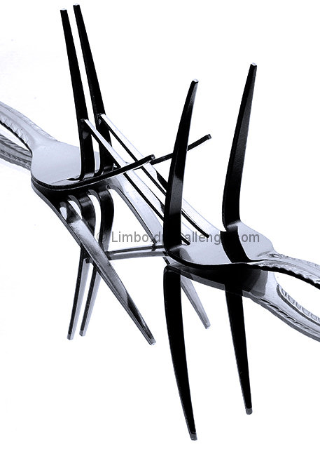 Fighting Forks