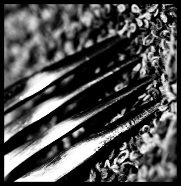 Macro in BW