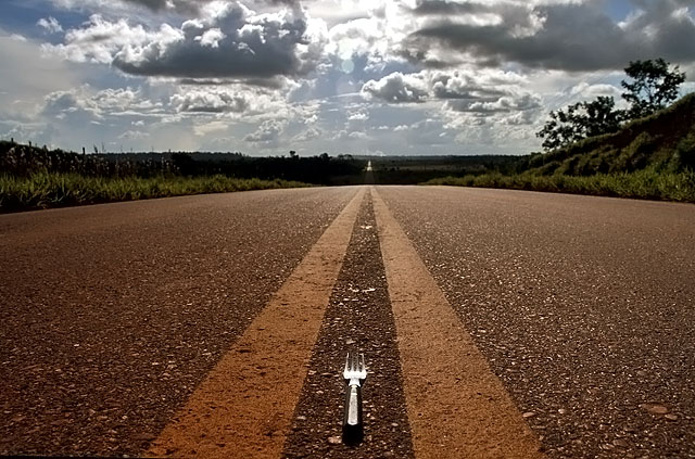 Fork in the Road