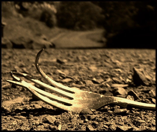 A Fork In The Road