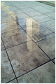 Puddle Reflection