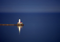 Lighthouse on Blue