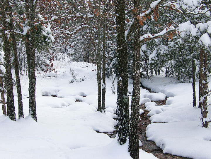 Let It Snow - The Easter Bunny may need a little coat!