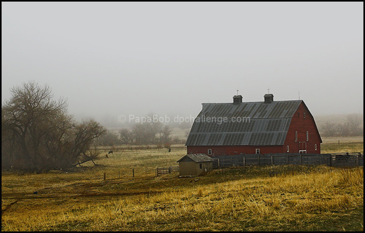 Misty Morning