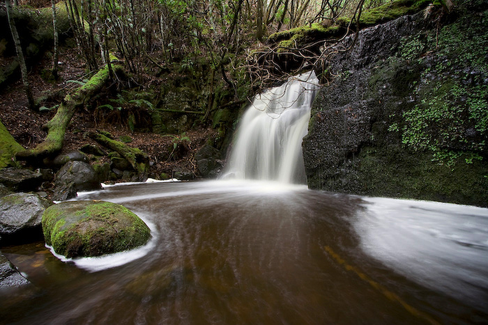 Strickland Avenue Falls