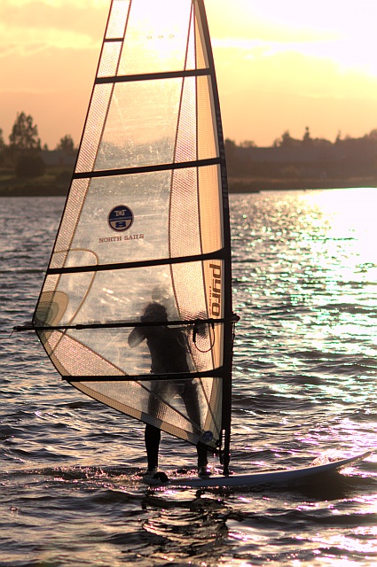 Windsurfer