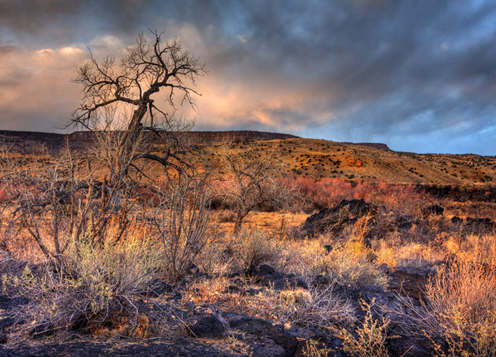 Lava Fields