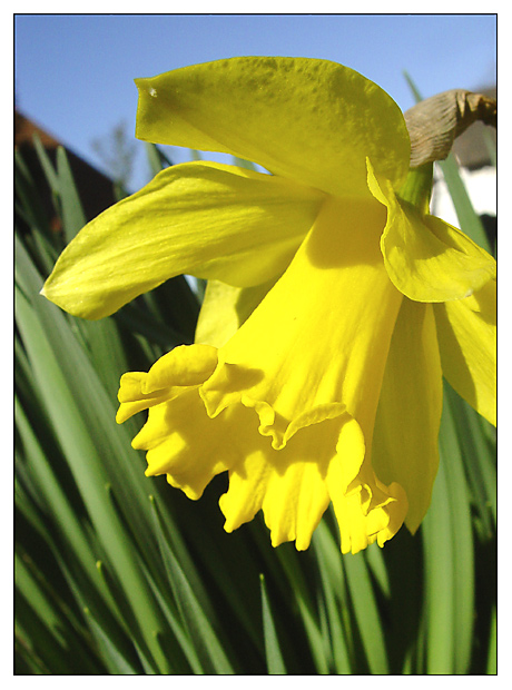 I Love Yellow...