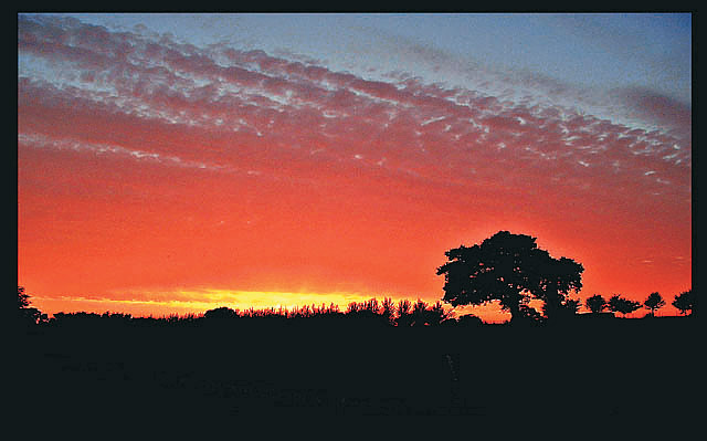 The Last Drop of Colour Today