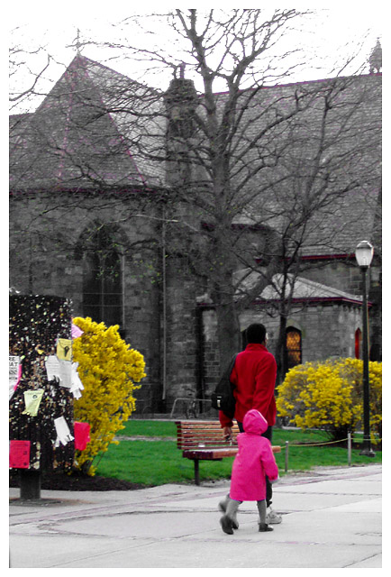 On Locust Walk