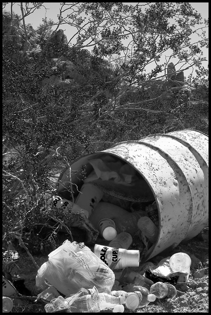 Disappointing sight on a hike