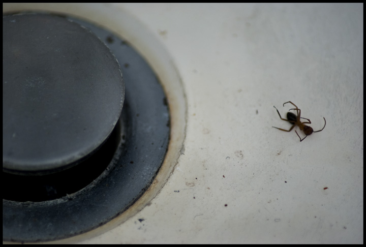 The 20 Year Old's Bathroom Sink - A Harsh Enviroment