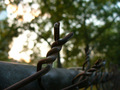 Rusty and Unfriendly