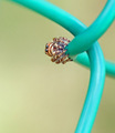 HEY!! Stay away from my Green fence !!