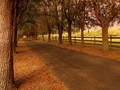 Home is Where the Heart is...