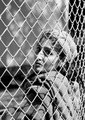 Beyond fences..