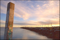 Fence Along the Jetty